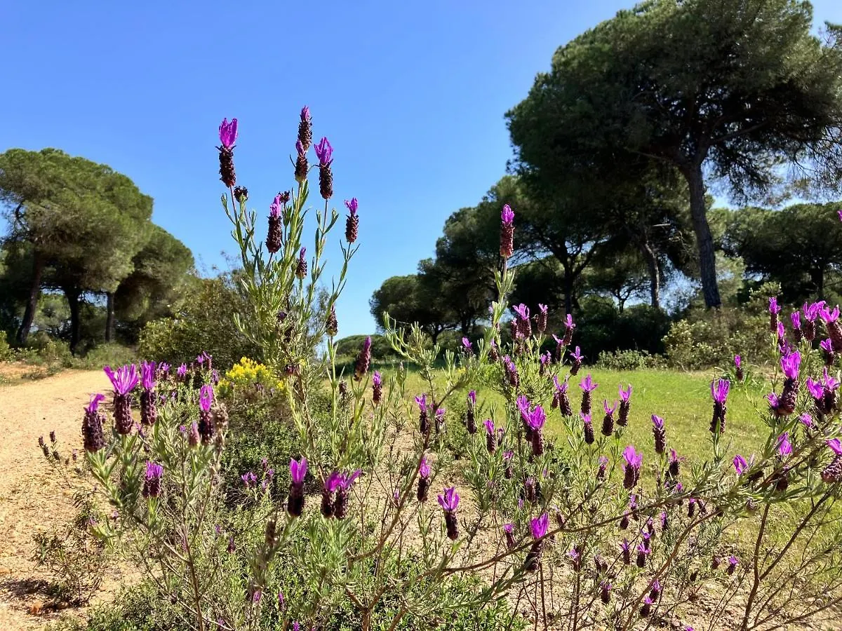 Bed & Breakfast Villa De La Luz Luxury Guesthouse El Portil
